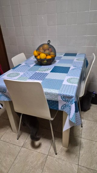 Mesa y 3 Sillas Cocina
