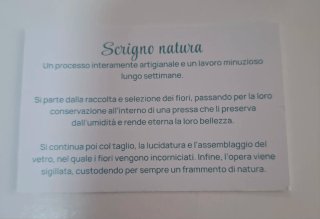 Quadretto floreale Scrigno natura CosmPiante