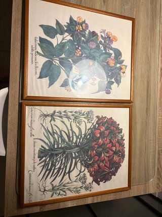 2 Cuadros Decorativos Florales