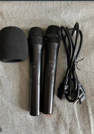 Altavoz Auna 12" Karaoke Party Speaker