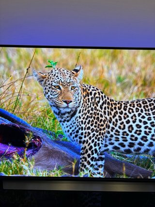 LG OLED55C11LB 55” OLED 4K Smart TV