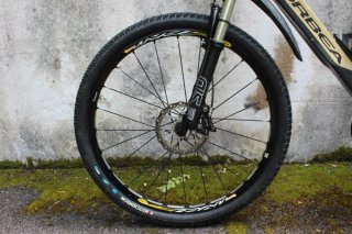 Orbea Alma MTB