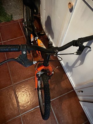Bicicleta infantil 20 DENBIKE
