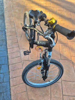 Bicicleta Montaña Infantil 20 pulgadas marca Avigo