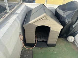 Caseta Perro XL Beige