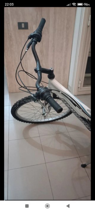 Bicicletta 24/26 pollici