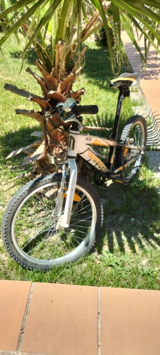 Bicicleta de montaña infantil CONOR WRC 206