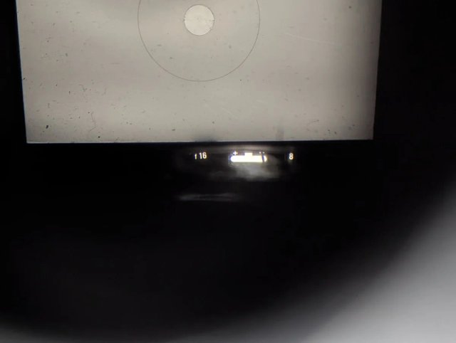 Nikon F2 Photomic + Waist Level Finder