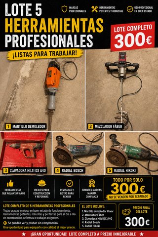Lote 5 Herramientas Profesionales 300 €