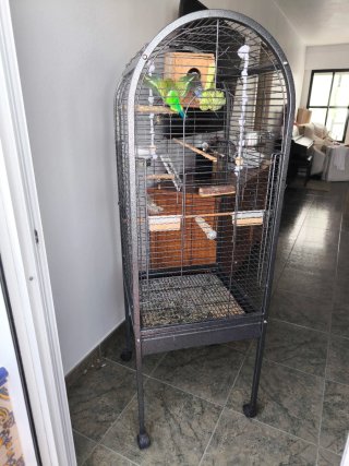 Jaula Periquitos y Loros