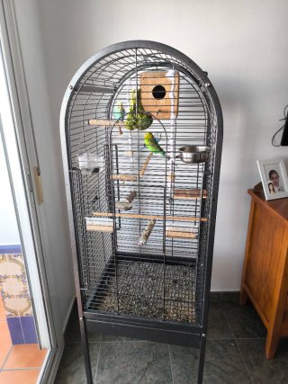 Jaula Periquitos y Loros