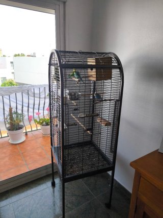 Jaula Periquitos y Loros
