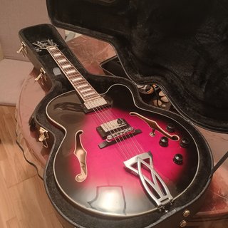 Estuche Ibanez Artcore