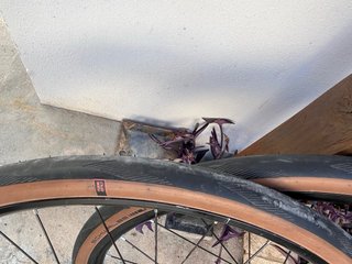 Llantas