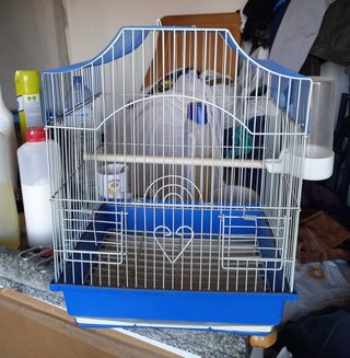 Jaula para pájaros azul y blanca