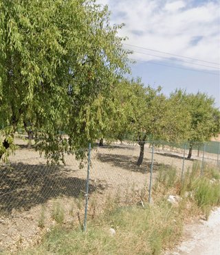 Parcela finca terreno