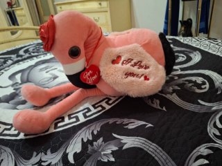 Peluche Topo e Fenicottero San Valentino