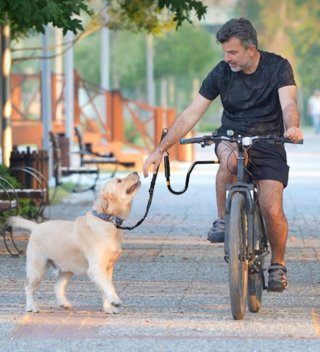 Barra guía bicicleta para pasear al perro