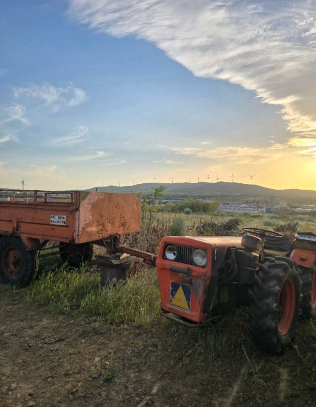 Tractor Agria con cultivador 6 ganchos