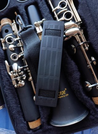 Clarinete Blade con funda