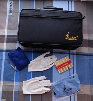 Clarinete Blade con funda