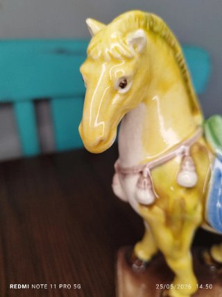 Caballito de Porcelana China