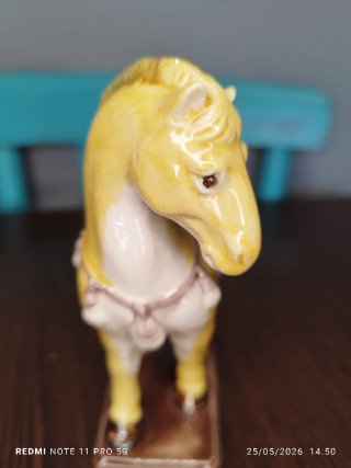 Caballito de Porcelana China