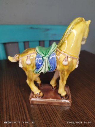 Caballito de Porcelana China