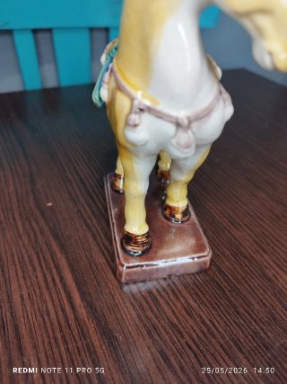 Caballito de Porcelana China