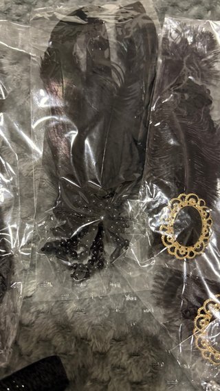 Accesorios Años 20: Plumas y Diadema