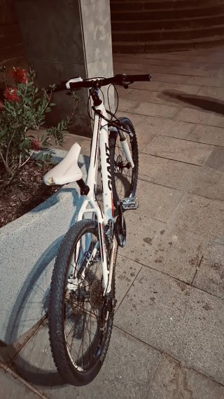 Bicicleta de montaña blanca