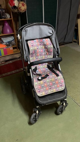 Carro Bugaboo Camaleon