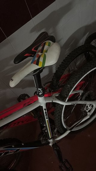 Bicicleta de montaña BH