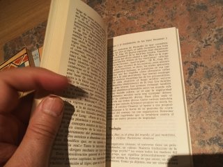 La filosofía helenística éticas y sistemas