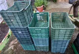 Cajones de plástico para frutas