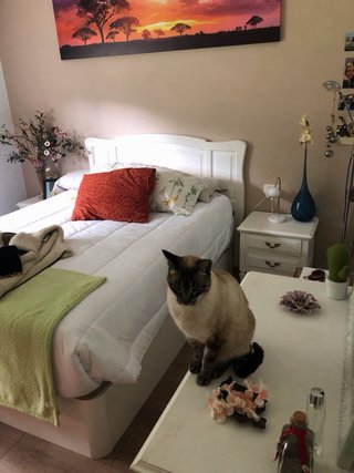 Cabecero de cama 135, mesitas de noche y cómoda