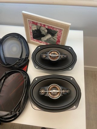 Altavoces Pioneer Ovalados