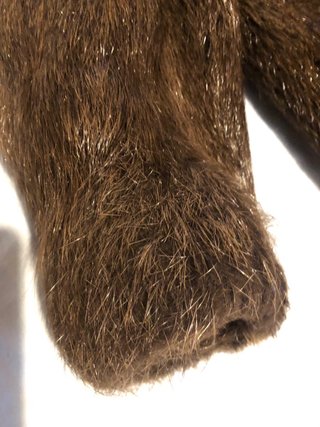 Chaquetón de pelo largo marrón