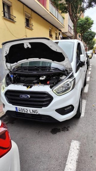 Ford Transit Custom 2021