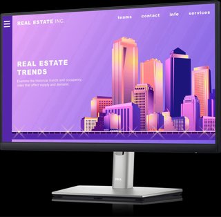 Monitor Dell P2222H