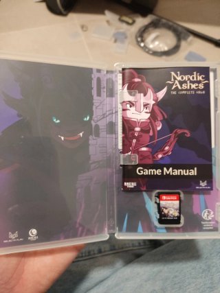 Nordic Ashes Switch RPG