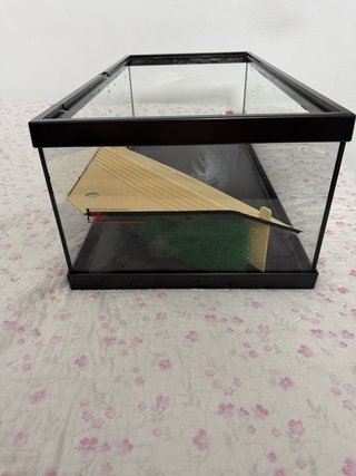 Terrario Tortuga