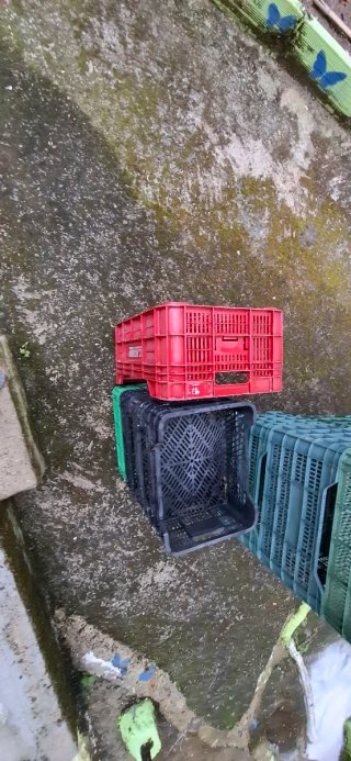 Cajas de frutas apilables