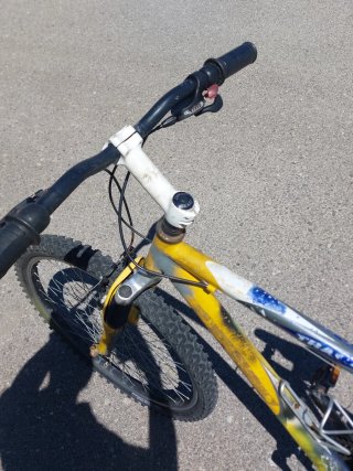 MTB Raggio 26