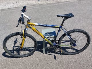 MTB Raggio 26