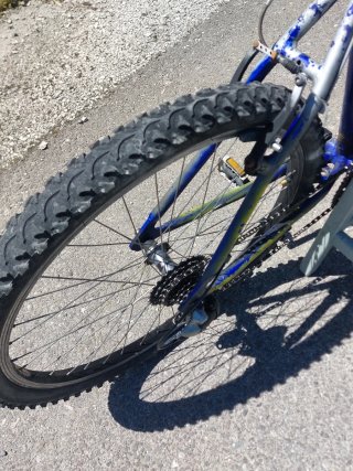 MTB Raggio 26