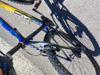 MTB Raggio 26