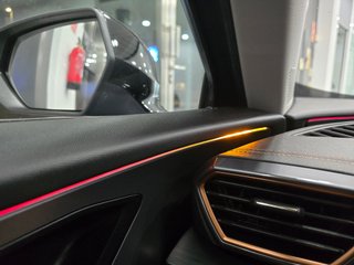2022 Cupra Formentor 2.0TDI 150CV