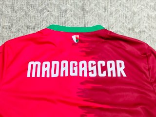 Camiseta Madagascar