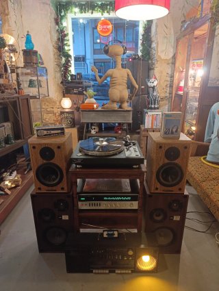 Equipo Hi-Fi Tocadiscos amplificador altavoces